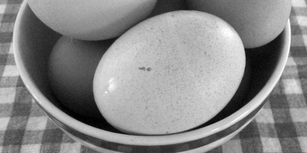 eggs long view