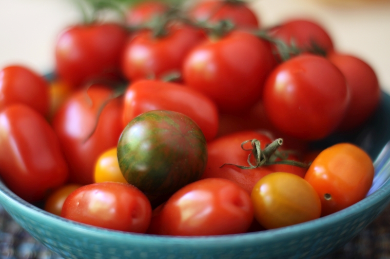 Ricotta and tomato tart 4 resized