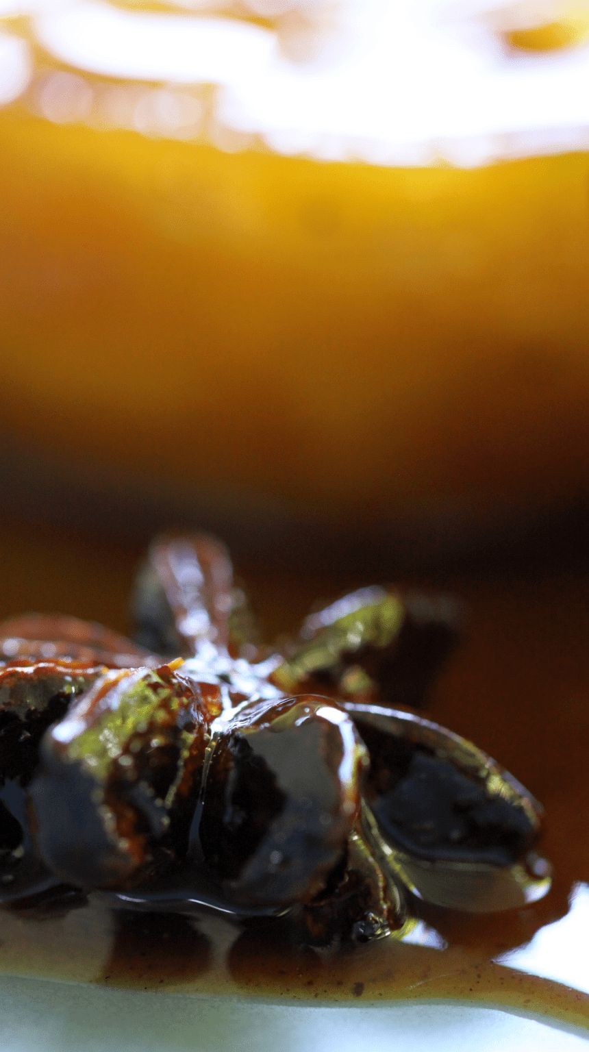 pork with apples2 resized